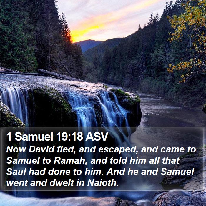 1 Samuel 19:18 ASV Bible Study