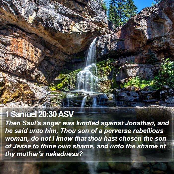 1 Samuel 20:30 ASV Bible Study