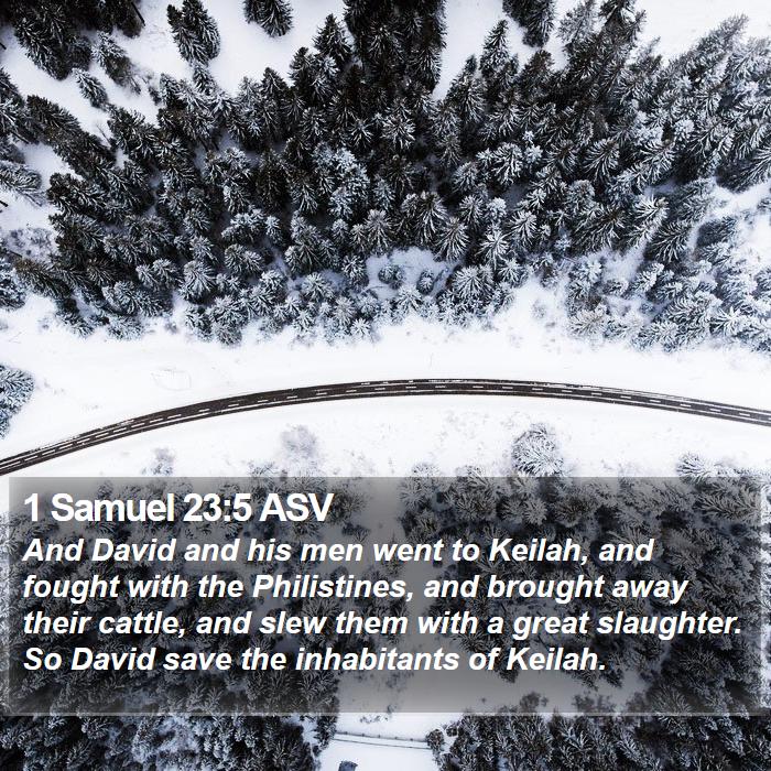 1 Samuel 23:5 ASV Bible Study