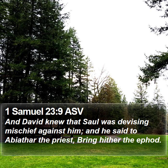 1 Samuel 23:9 ASV Bible Study