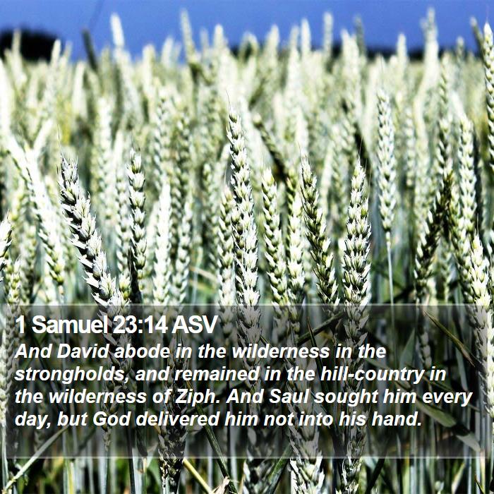 1 Samuel 23:14 ASV Bible Study