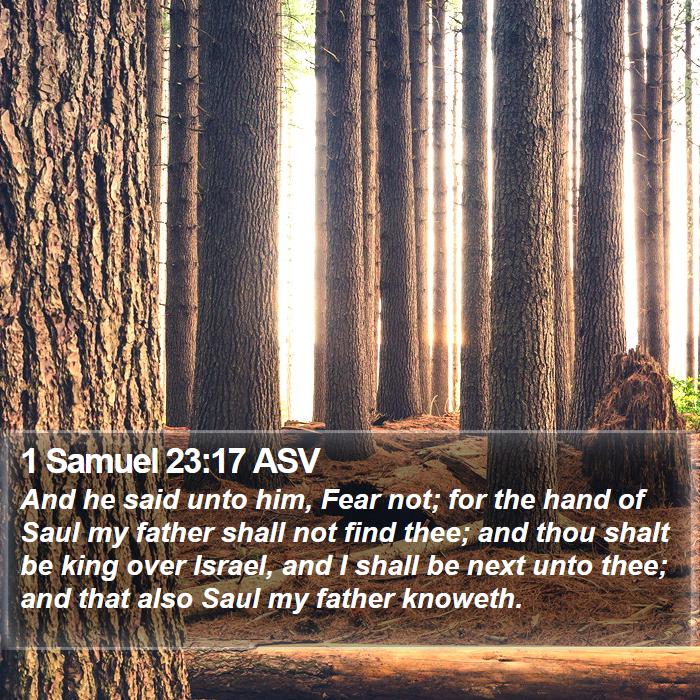 1 Samuel 23:17 ASV Bible Study