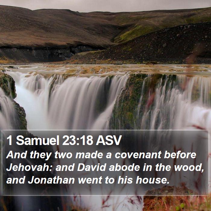 1 Samuel 23:18 ASV Bible Study