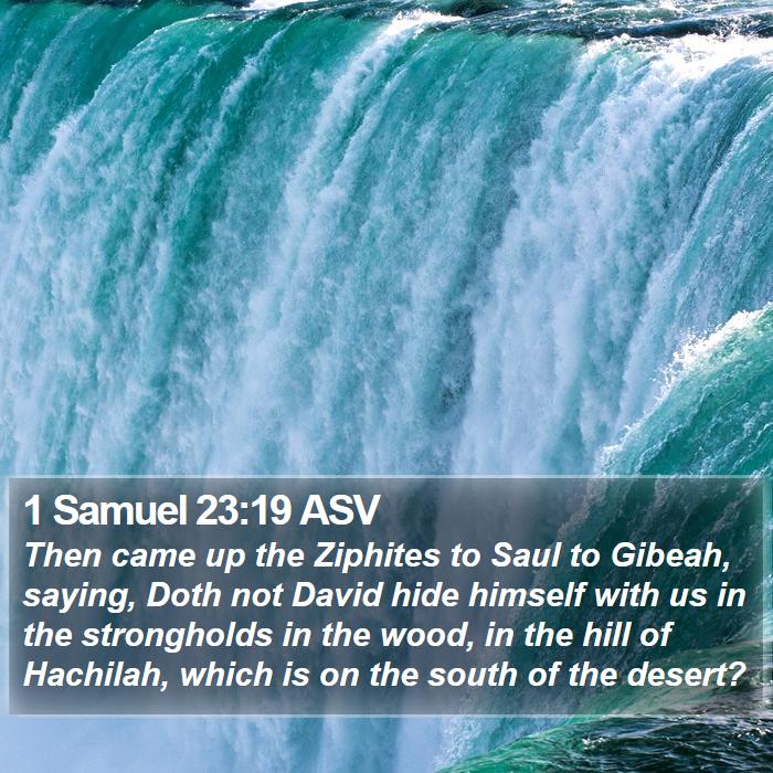 1 Samuel 23:19 ASV Bible Study