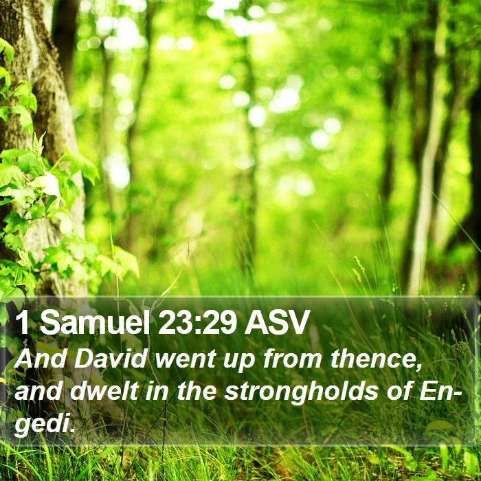 1 Samuel 23:29 ASV Bible Study