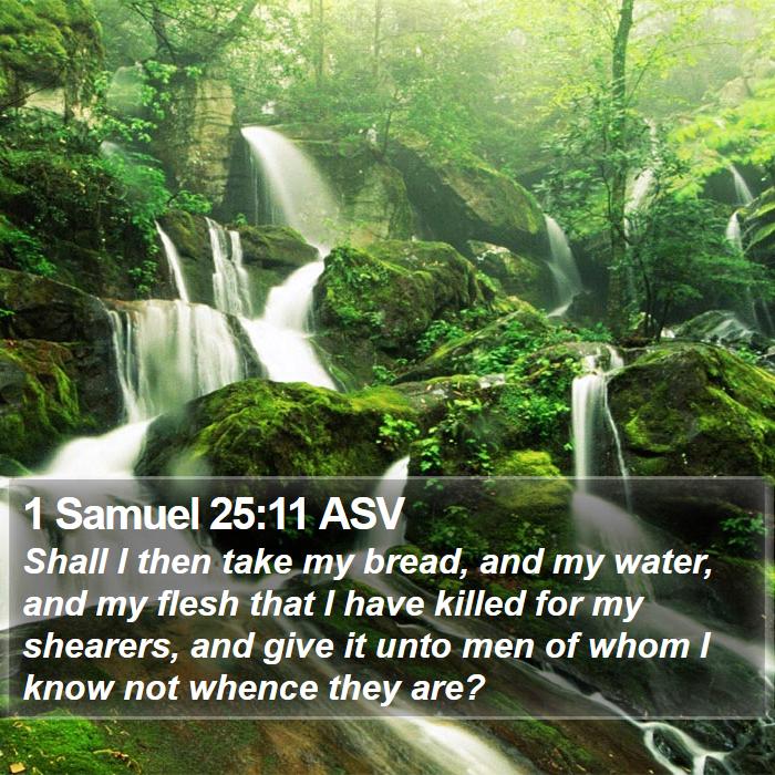 1 Samuel 25:11 ASV Bible Study