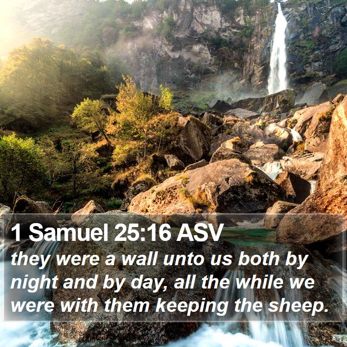 1 Samuel 25:16 ASV Bible Study