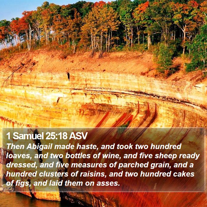 1 Samuel 25:18 ASV Bible Study