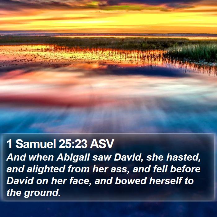 1 Samuel 25:23 ASV Bible Study