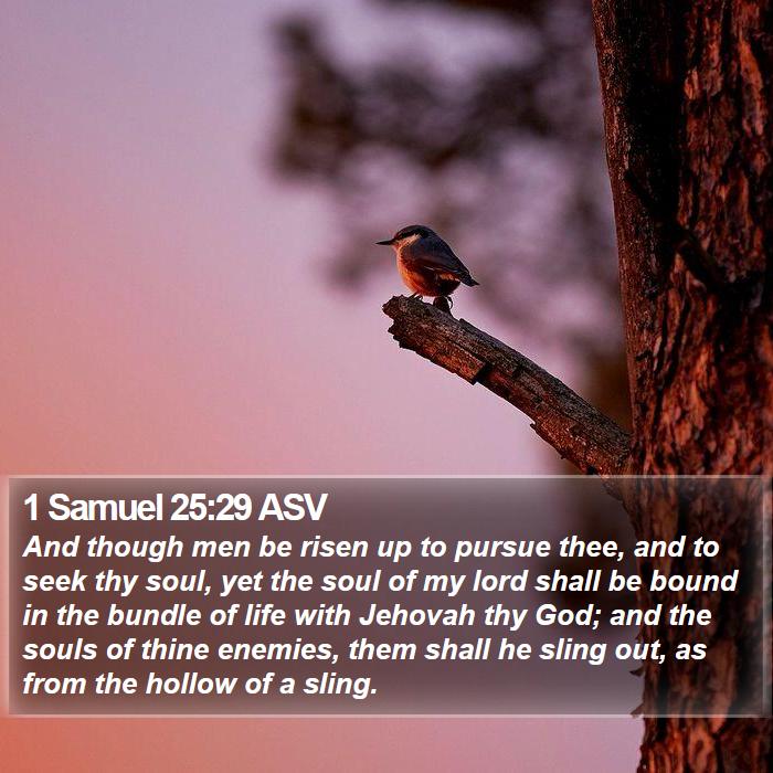 1 Samuel 25:29 ASV Bible Study