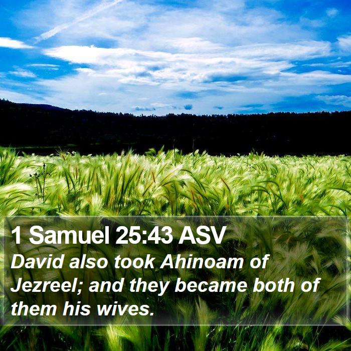 1 Samuel 25:43 ASV Bible Study