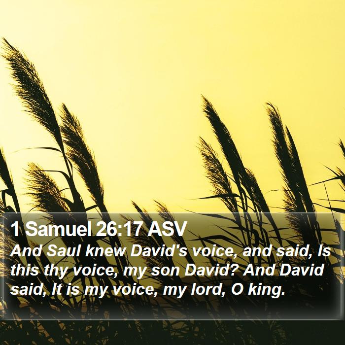 1 Samuel 26:17 ASV Bible Study