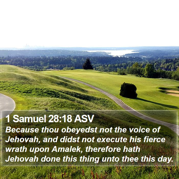 1 Samuel 28:18 ASV Bible Study