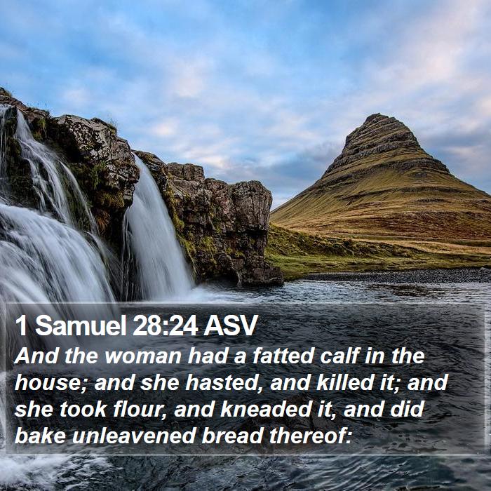 1 Samuel 28:24 ASV Bible Study