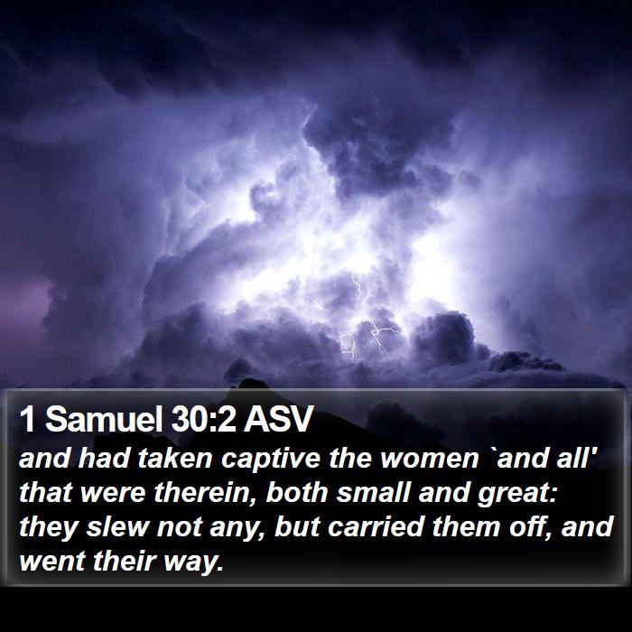 1 Samuel 30:2 ASV Bible Study