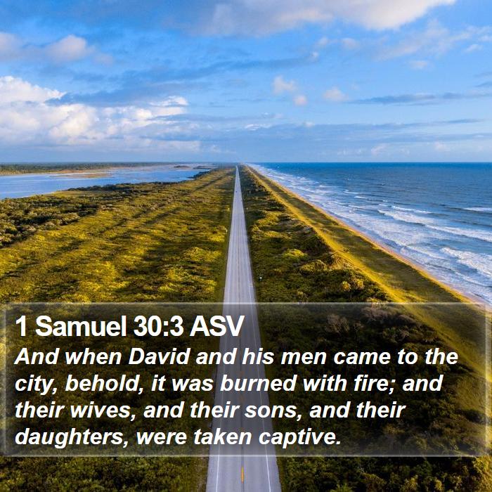 1 Samuel 30:3 ASV Bible Study