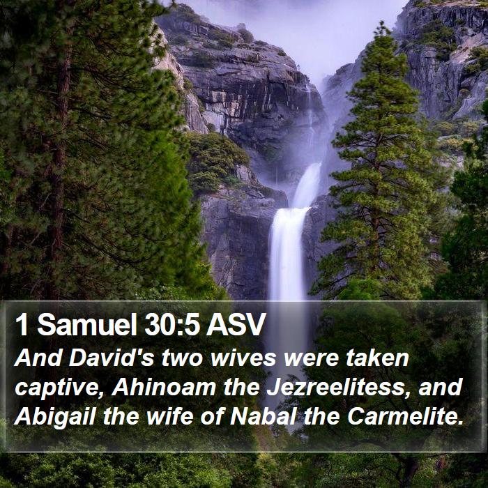 1 Samuel 30:5 ASV Bible Study