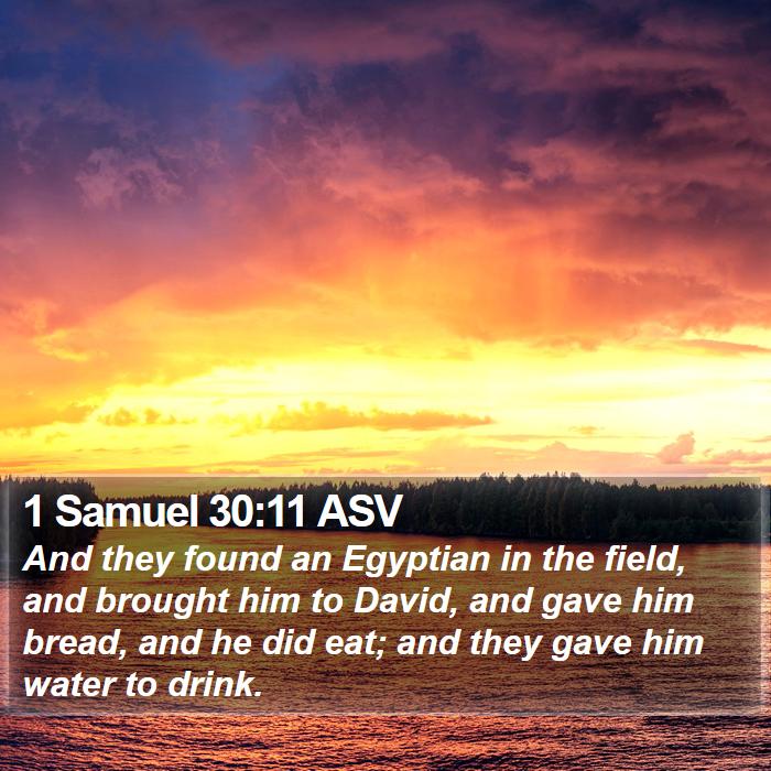 1 Samuel 30:11 ASV Bible Study