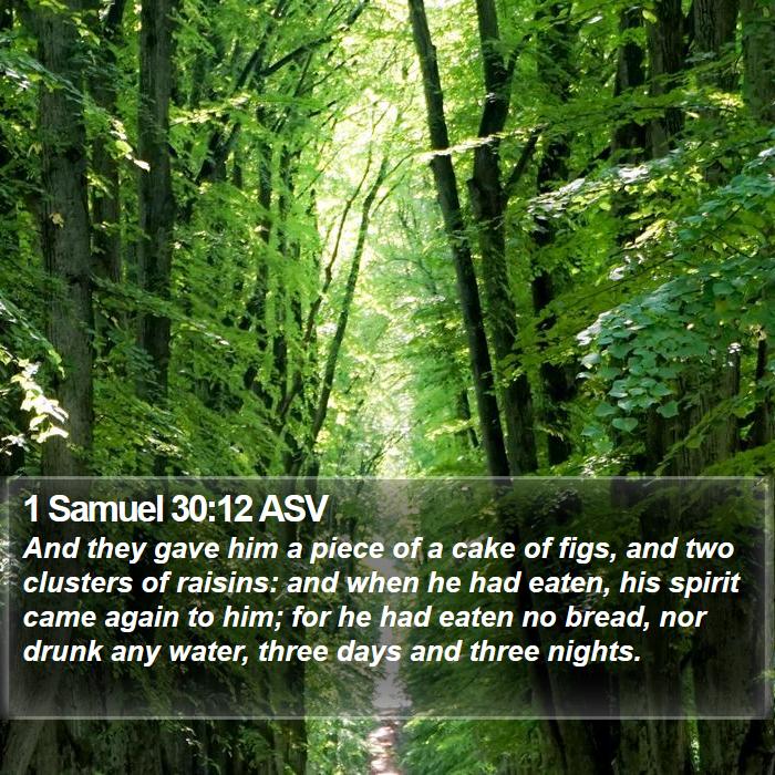 1 Samuel 30:12 ASV Bible Study