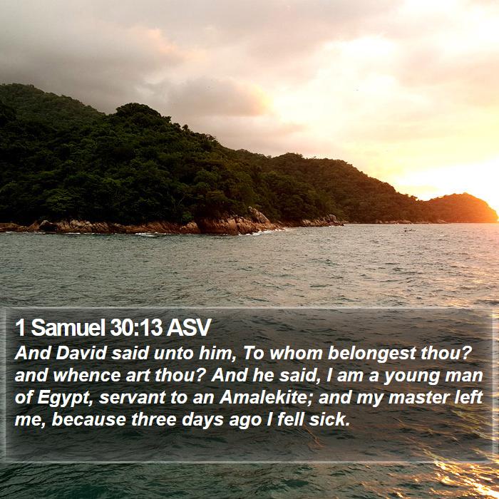 1 Samuel 30:13 ASV Bible Study