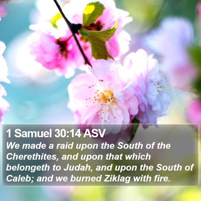 1 Samuel 30:14 ASV Bible Study