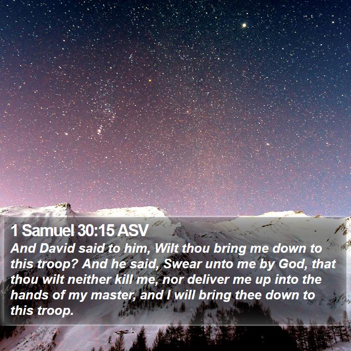 1 Samuel 30:15 ASV Bible Study