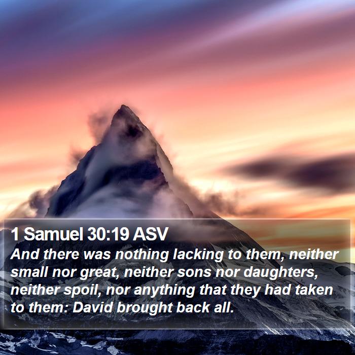 1 Samuel 30:19 ASV Bible Study