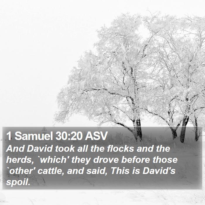 1 Samuel 30:20 ASV Bible Study