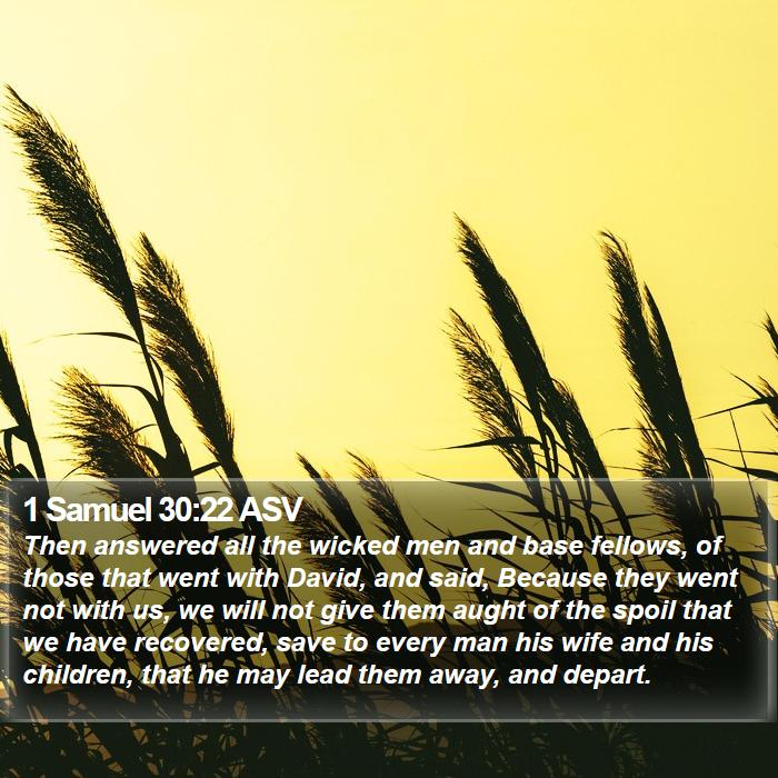 1 Samuel 30:22 ASV Bible Study