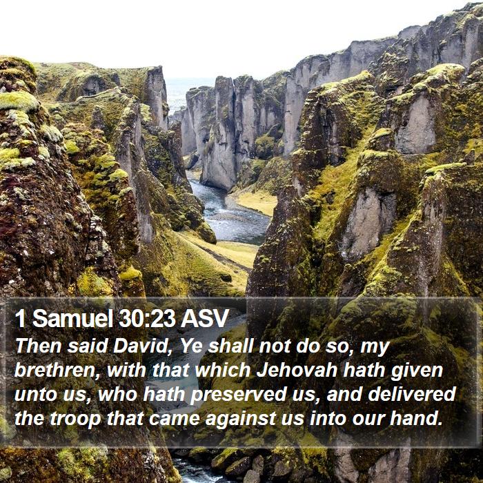 1 Samuel 30:23 ASV Bible Study