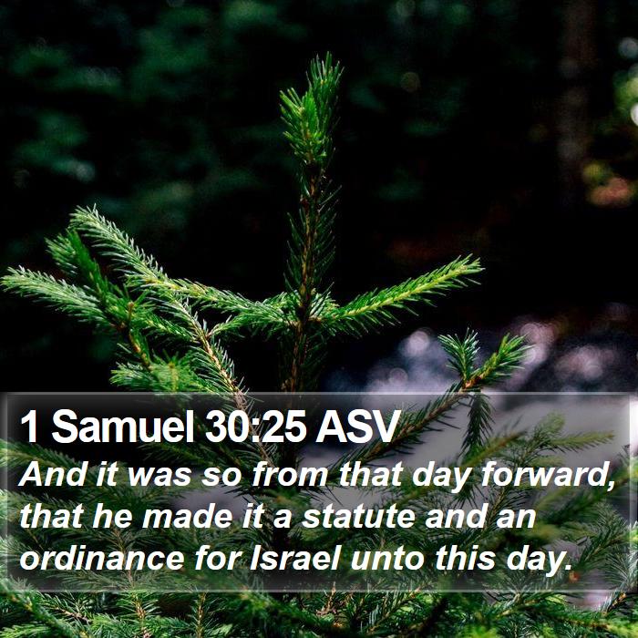 1 Samuel 30:25 ASV Bible Study