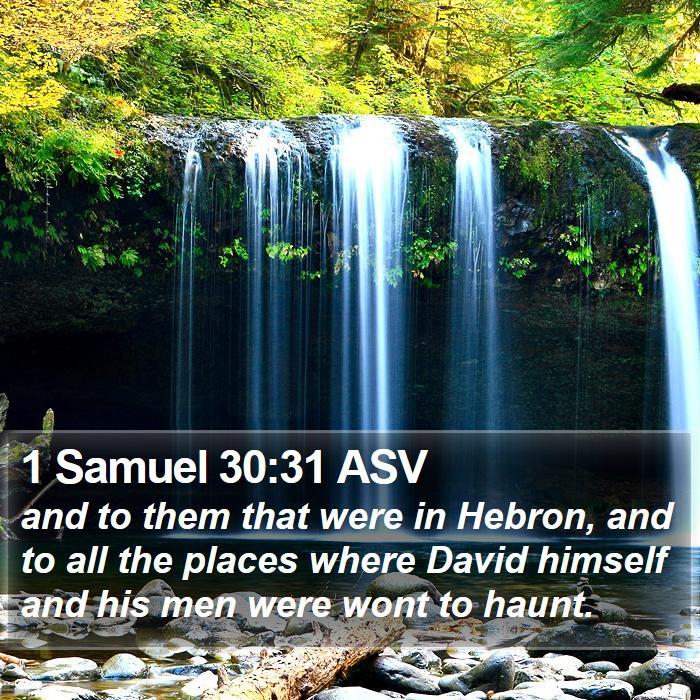 1 Samuel 30:31 ASV Bible Study