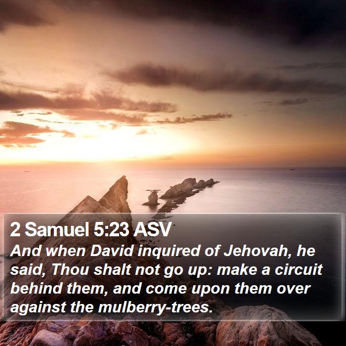 2 Samuel 5:23 ASV Bible Study