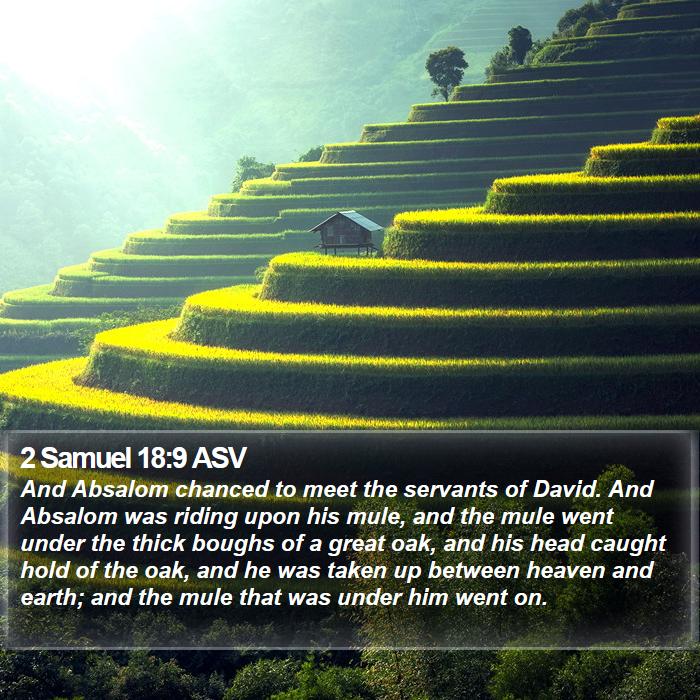 2 Samuel 18:9 ASV Bible Study