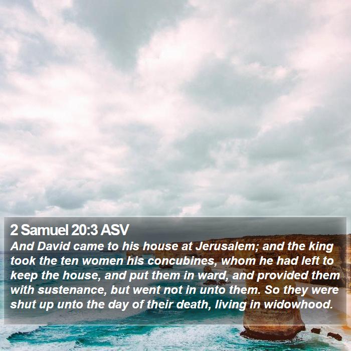 2 Samuel 20:3 ASV Bible Study