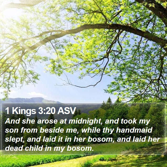 1 Kings 3:20 ASV Bible Study