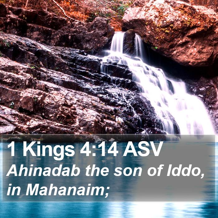 1 Kings 4:14 ASV Bible Study