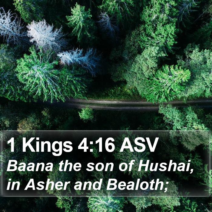 1 Kings 4:16 ASV Bible Study