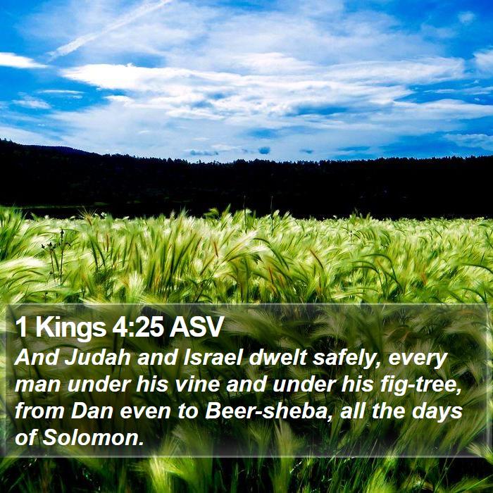 1 Kings 4:25 ASV Bible Study