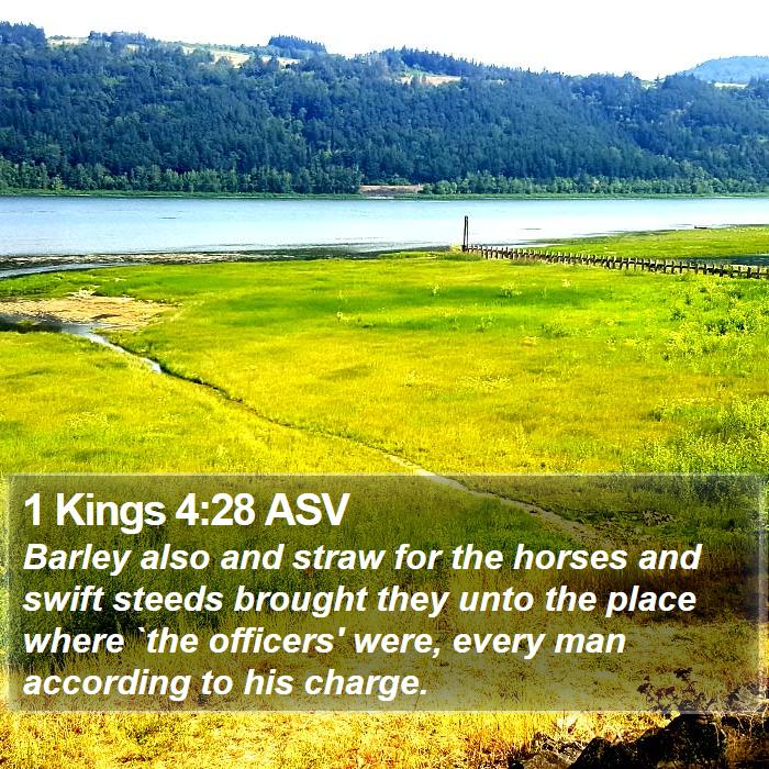 1 Kings 4:28 ASV Bible Study