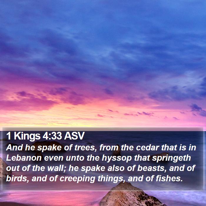 1 Kings 4:33 ASV Bible Study