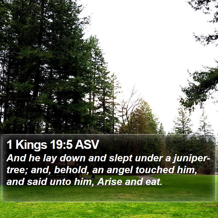 1 Kings 19:5 ASV Bible Study