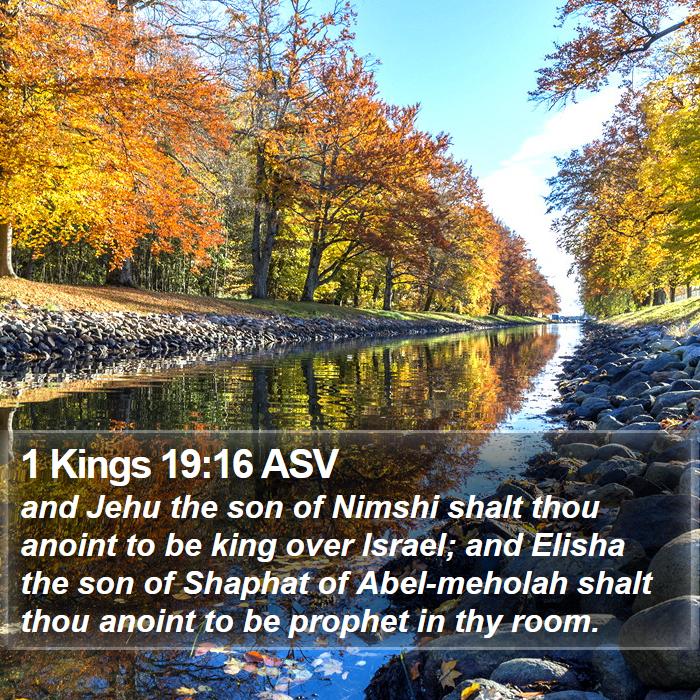 1 Kings 19:16 ASV Bible Study