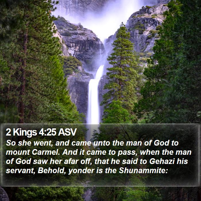 2 Kings 4:25 ASV Bible Study