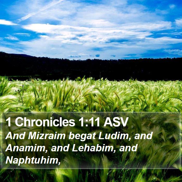 1 Chronicles 1:11 ASV Bible Study