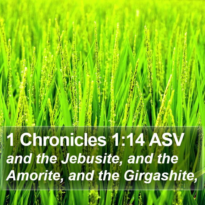 1 Chronicles 1:14 ASV Bible Study