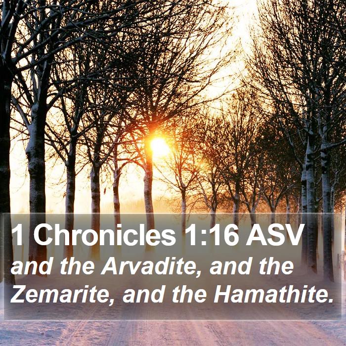 1 Chronicles 1:16 ASV Bible Study