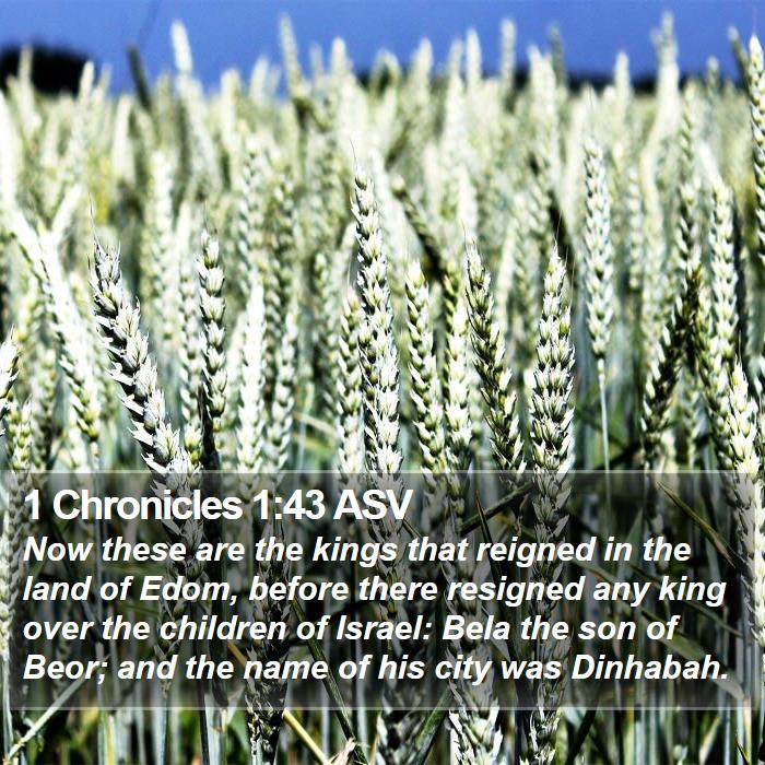 1 Chronicles 1:43 ASV Bible Study