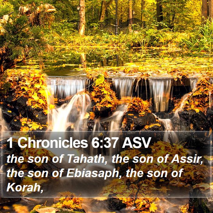 1 Chronicles 6:37 ASV Bible Study