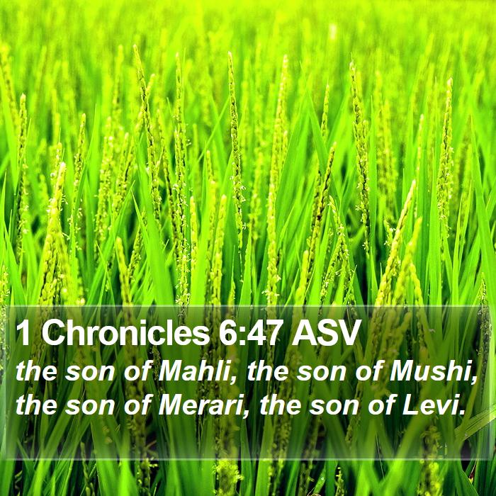 1 Chronicles 6:47 ASV Bible Study